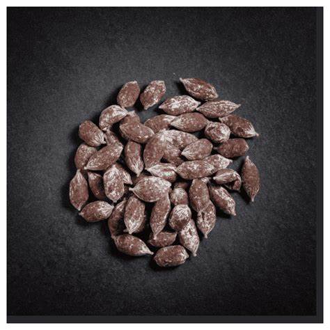 grignotes noisettes 100gr