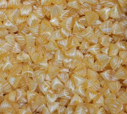 Berlingots de Carpentras Citron 100 gr