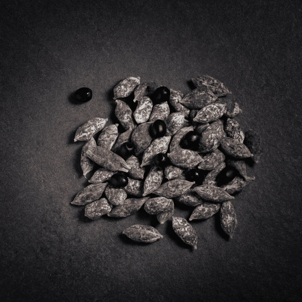 grignottes olives noires 500gr